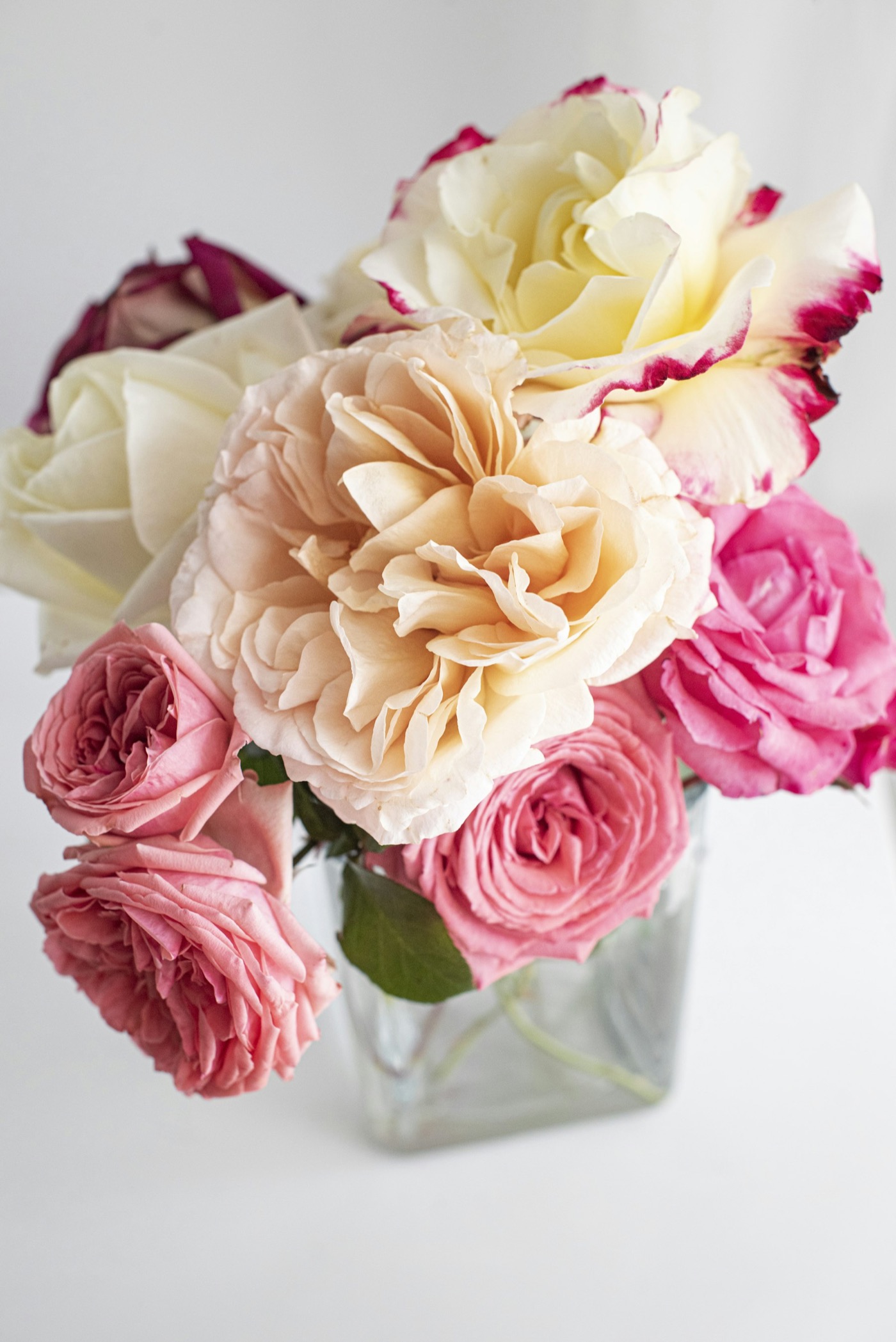 A bouquet of pink and cream roses held in hand