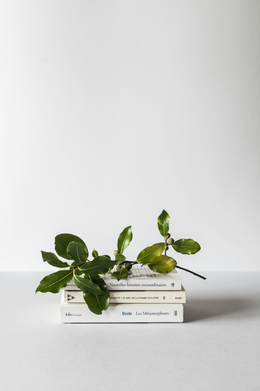 A small green plant on a stack of books