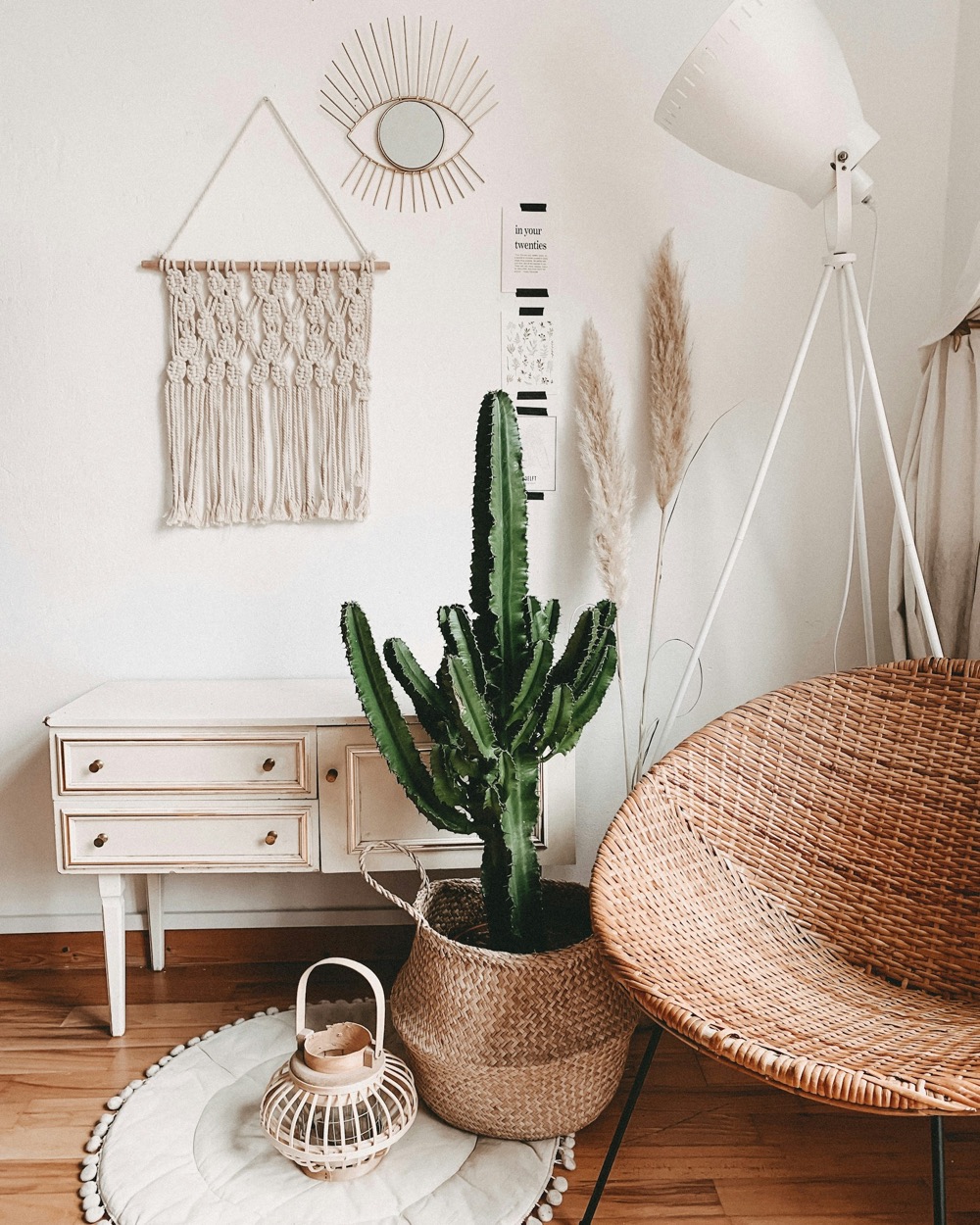 A cactus in a basket beside a rattan chair in a bright room