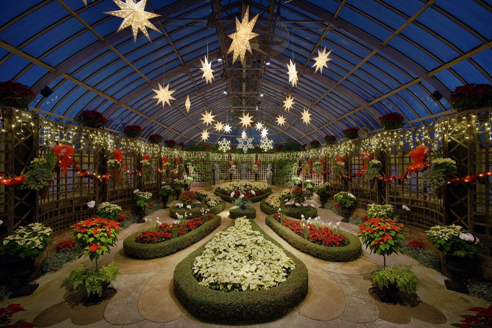 A glass conservatory decorated with poinsettias, flower beds and hanging paper stars